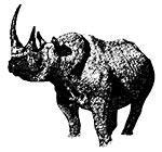 Журнал «Вокруг Света» №01 за 2008 год - TAG_img_cmn_2008_01_10_026_jpg778864