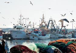 Журнал «Вокруг Света» №01 за 2008 год - TAG_img_cmn_2008_01_15_015_jpg163317