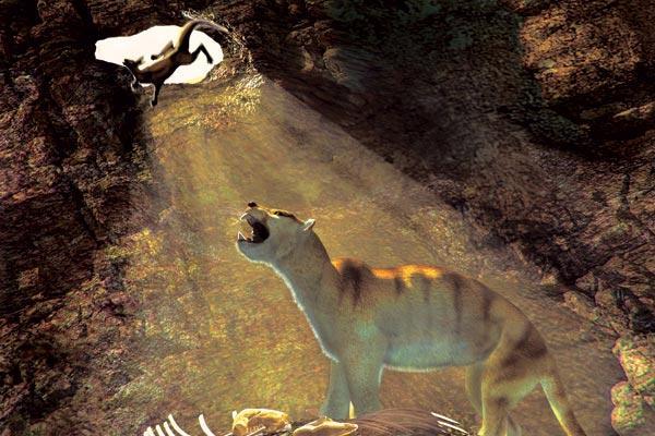 Журнал «Вокруг Света» №01 за 2008 год - TAG_img_cmn_2008_01_25_005_jpg745554