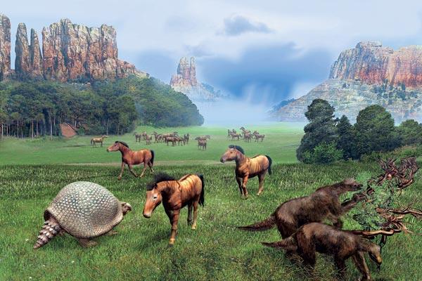 Журнал «Вокруг Света» №01 за 2008 год - TAG_img_cmn_2008_01_25_006_jpg65469