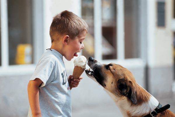 Журнал «Вокруг Света» №01 за 2009 год - TAG_img_cmn_2008_12_23_004_jpg720777