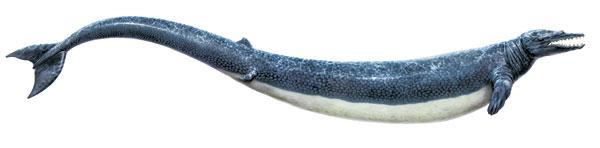 Журнал «Вокруг Света» №01 за 2010 год - TAG_img_cmn_2010_03_09_007_jpg860710