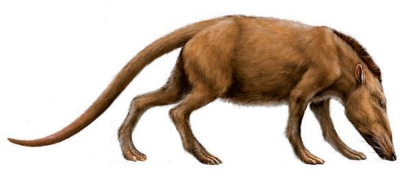 Журнал «Вокруг Света» №01 за 2010 год - TAG_img_cmn_2010_03_09_008_jpg196992