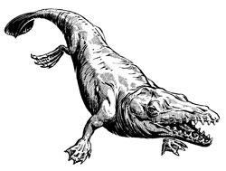 Журнал «Вокруг Света» №01 за 2010 год - TAG_img_cmn_2010_03_09_009_jpg794210