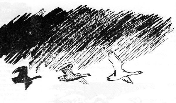 Журнал «Вокруг Света» №02 за 1960 год - TAG_img_cmn_2009_01_14_020_jpg304401