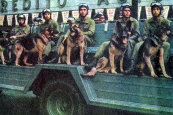 Журнал «Вокруг Света» №02 за 1979 год - TAG_img_cmn_2007_09_29_033_jpg327788