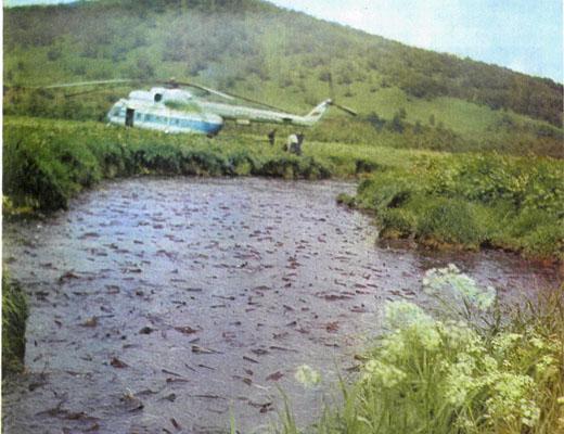 Журнал «Вокруг Света» №02 за 1985 год - TAG_img_cmn_2007_03_16_017_jpg638264