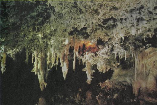 Журнал «Вокруг Света» №02 за 1985 год - TAG_img_cmn_2007_03_16_048_jpg857545