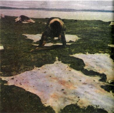 Журнал «Вокруг Света» №02 за 1985 год - TAG_img_cmn_2007_03_16_056_jpg732244