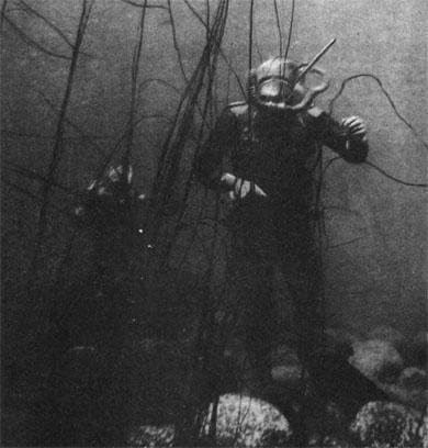 Журнал «Вокруг Света» №02 за 1985 год - TAG_img_cmn_2007_03_17_004_jpg808438