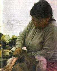 Журнал «Вокруг Света» №02 за 1985 год - TAG_img_cmn_2007_11_13_008_jpg215641