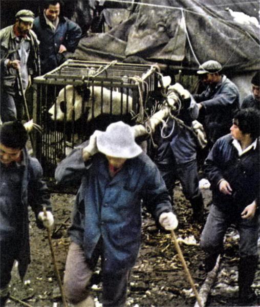 Журнал «Вокруг Света» №02 за 1987 год - TAG_img_cmn_2007_04_11_015_jpg936486