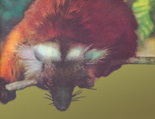 Журнал «Вокруг Света» №02 за 1991 год - TAG_img_cmn_2007_01_13_009_jpg112658