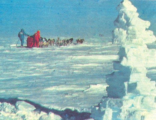 Журнал «Вокруг Света» №02 за 1991 год - TAG_img_cmn_2007_01_13_018_jpg42203