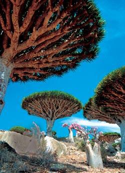 Журнал «Вокруг Света» №02 за 2006 год - TAG_img_cmn_2007_01_07_018_jpg627677