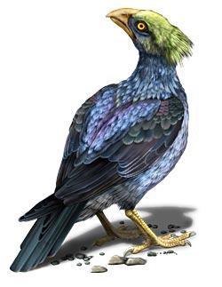 Журнал «Вокруг Света» №02 за 2007 год - TAG_img_cmn_2007_03_09_046_jpg495389