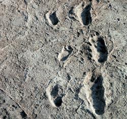 Журнал «Вокруг Света» №02 за 2008 год - TAG_img_cmn_2008_01_28_022_jpg424006