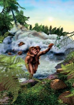 Журнал «Вокруг Света» №02 за 2008 год - TAG_img_cmn_2008_01_28_023_jpg3947