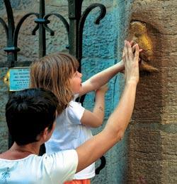 Журнал «Вокруг Света» №02 за 2008 год - TAG_img_cmn_2008_01_29_012_jpg647090