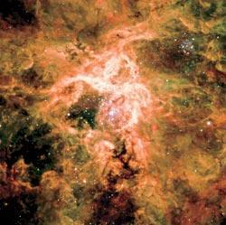 Журнал «Вокруг Света» №02 за 2008 год - TAG_img_cmn_2008_02_13_006_jpg164113