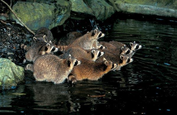 Журнал «Вокруг Света» №02 за 2009 год - TAG_img_cmn_2009_04_17_009_jpg35327