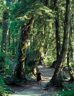 Журнал «Вокруг Света» №02 за 2010 год - TAG_img_cmn_2010_03_11_003_jpg193875