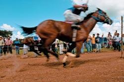 Журнал «Вокруг Света» №02 за 2010 год - TAG_img_cmn_2010_03_25_020_jpg94866