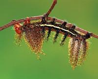 Журнал «Вокруг Света» №02 за 2010 год - TAG_img_cmn_2010_03_25_030_jpg859218