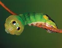 Журнал «Вокруг Света» №02 за 2010 год - TAG_img_cmn_2010_03_25_037_jpg319770