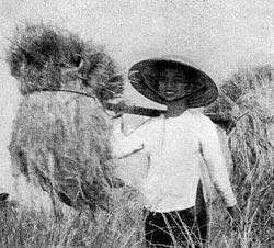 Журнал «Вокруг Света» №03 за 1960 год - TAG_img_cmn_2009_01_21_004_jpg229663