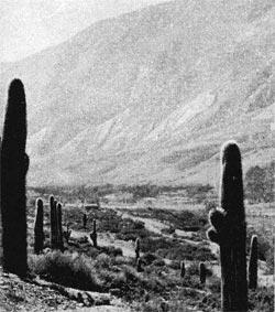 Журнал «Вокруг Света» №03 за 1960 год - TAG_img_cmn_2009_01_21_007_jpg298239