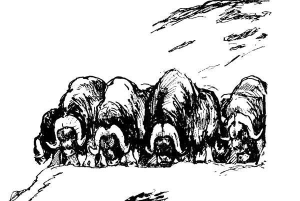 Журнал «Вокруг Света» №03 за 1960 год - TAG_img_cmn_2009_01_30_023_jpg875685