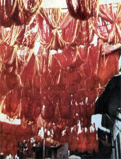 Журнал «Вокруг Света» №03 за 1979 год - TAG_img_cmn_2007_10_01_035_jpg845297