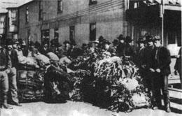 Журнал «Вокруг Света» №03 за 1985 год - TAG_img_cmn_2007_03_17_015_jpg723521
