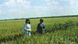 Журнал «Вокруг Света» №03 за 1985 год - TAG_img_cmn_2007_11_13_014_jpg958972