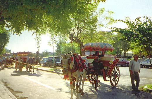 Журнал «Вокруг Света» №03 за 1997 год - TAG_img_cmn_2006_09_17_035_jpg387910