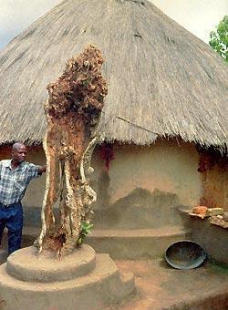 Журнал «Вокруг Света» №03 за 1997 год - TAG_img_cmn_2006_09_17_046_jpg896253