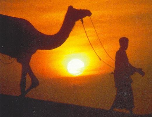 Журнал «Вокруг Света» №03 за 1997 год - TAG_img_cmn_2006_09_17_056_jpg488234