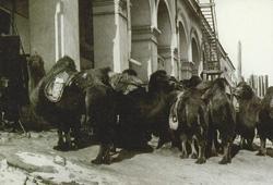 Журнал «Вокруг Света» №03 за 1997 год - TAG_img_cmn_2006_09_18_015_jpg328437