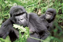 Журнал «Вокруг Света» №03 за 2006 год - TAG_img_cmn_2007_02_03_044_jpg431964