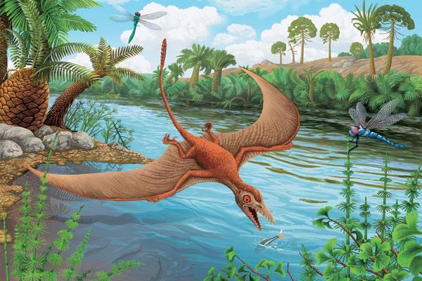 Журнал «Вокруг Света» №03 за 2009 год - TAG_img_cmn_2009_02_25_005_jpg29873