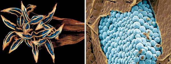 Журнал «Вокруг Света» №03 за 2009 год - TAG_img_cmn_2009_05_20_002_jpg14517