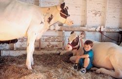 Журнал «Вокруг Света» №03 за 2009 год - TAG_img_cmn_2009_05_22_007_jpg536407