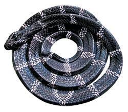 Журнал «Вокруг Света» №03 за 2010 год - TAG_img_cmn_2010_05_18_018_jpg449042