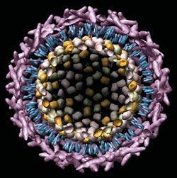 Журнал «Вокруг Света» №03 за 2010 год - TAG_img_cmn_2010_05_18_028_jpg362588