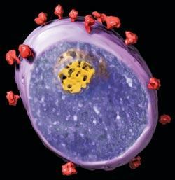 Журнал «Вокруг Света» №03 за 2010 год - TAG_img_cmn_2010_05_18_031_jpg34111