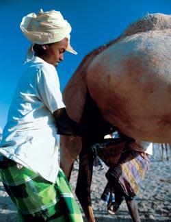 Журнал «Вокруг Света» №04 за 2006 год - TAG_img_cmn_2007_02_10_048_jpg713052