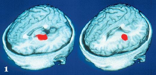 Журнал «Вокруг Света» №04 за 2006 год - TAG_img_cmn_2007_02_11_028_jpg733784