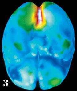 Журнал «Вокруг Света» №04 за 2006 год - TAG_img_cmn_2007_02_11_030_jpg705335