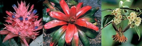 Журнал «Вокруг Света» №04 за 2007 год - TAG_img_cmn_2007_03_10_007_jpg587026